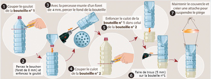 Réalisation d'un piège à frelon asiatique